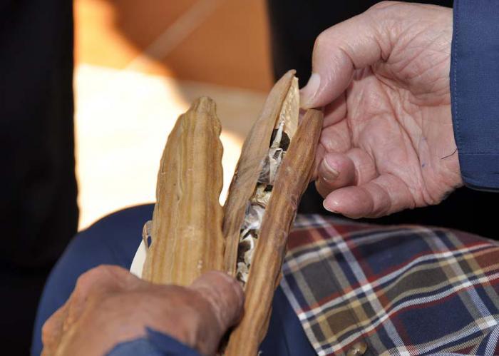 encuentro fide-evo-maduro