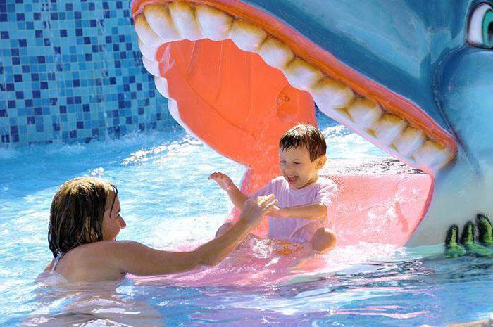 Como ser uma estrela.