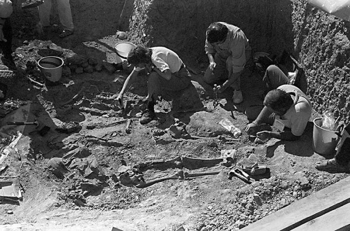 As áreas a serem pesquisadas foram a pista, os terrenos colimitadas, a lixeira, o cemitério, entre outros.