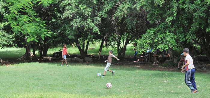 O Parque Ecológico Monte Barreto, situado em Playa, oferece nestes dias uma imagem de acampadas, crianças jogando futebol, aluguel de pôneis e grelhadas sob as árvores.
