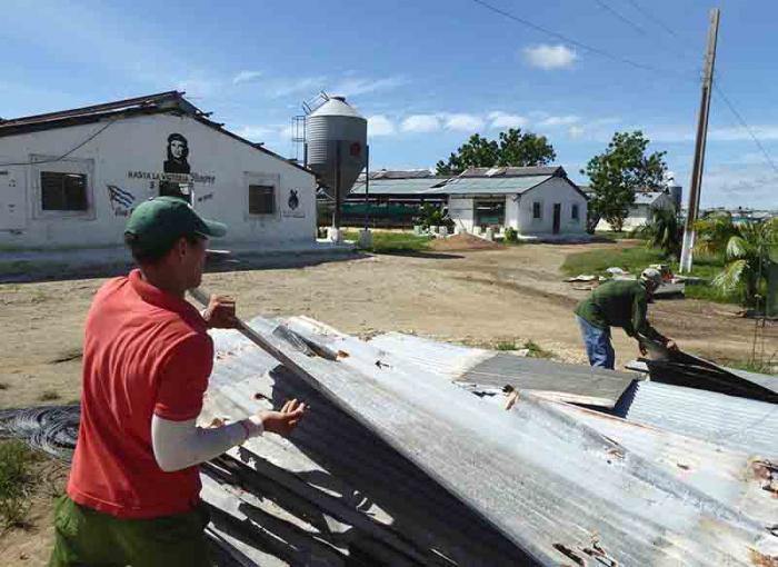 Todos os trabalhadores imediatamente começaram a refazer as telhas que o vento tirou dos galpões para sua reutilização.