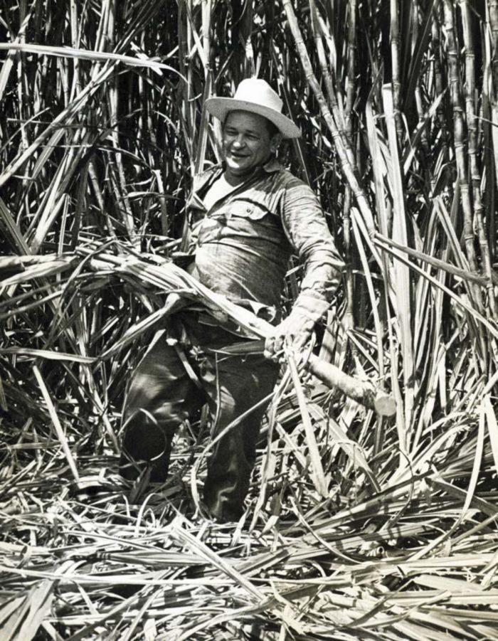 Guillermo García Frìas, em um trabalho voluntário.