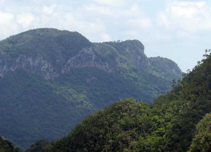 O Martí jazente, uma curiosidade da natureza que evoca o Apóstolo, tendido de cara ao sol.
