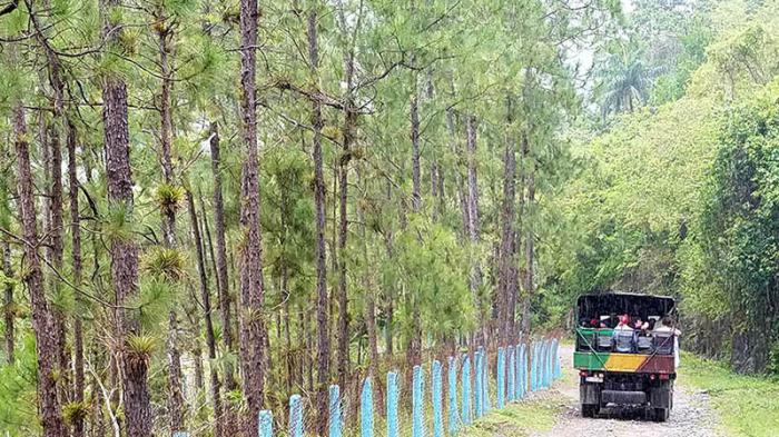 Topes de Collantes detém a categoria de Paisagem Natural Protegida.