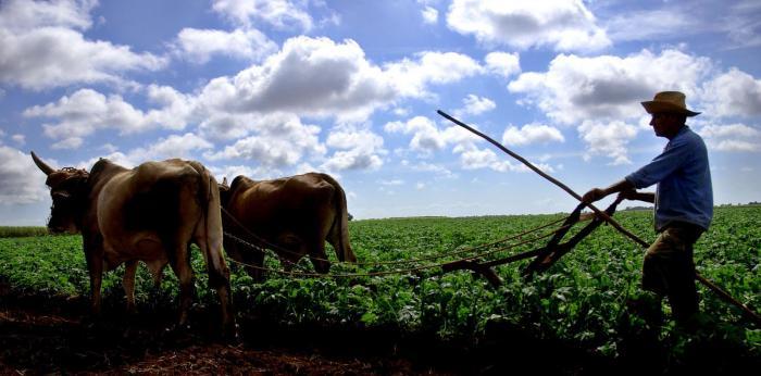 É preciso encontrar soluções eficazes para apoiar os agricultores. 