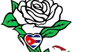 Solidaridad Cuba